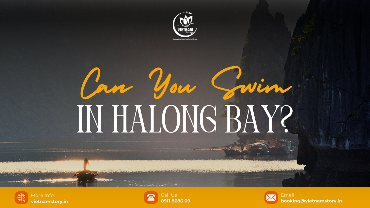 Dive Into Emerald: An Expert Guide To "Can You Swim In Halong Bay?" 2 You can absolutely swim in Halong Bay, and it is a highlight of most cruise itineraries, offering emerald waters and stunning limestone views.