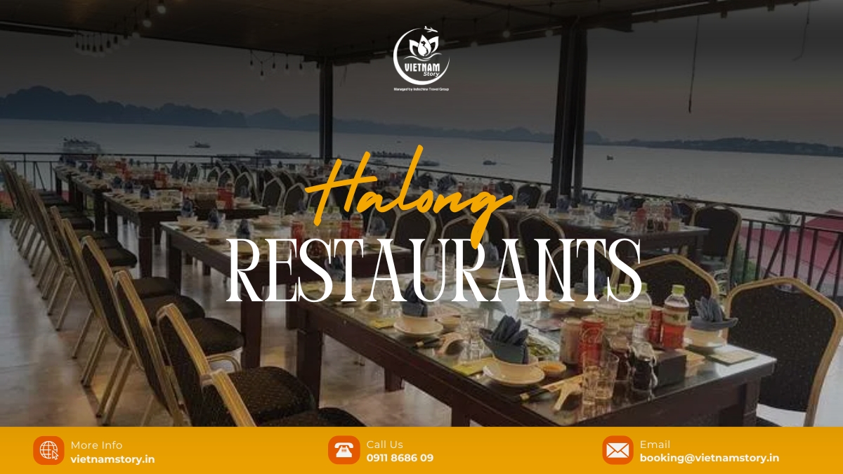 Discover the best Ha Long Bay restaurant options with our updated list of top spots for seafood, local cuisine, and international flavors in this must-visit coastal destination.