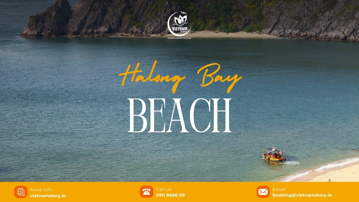 Halong Bay Beach: The Ultimate Guide To Vietnam’s Revitalized Coastal Wonders 2 Halong Bay features numerous stunning beaches, ranging from vibrant, accessible spots like Bai Chay and Tuan Chau to pristine, secluded options like Ti Top, Soi Sim, and Ba Trai Dao.