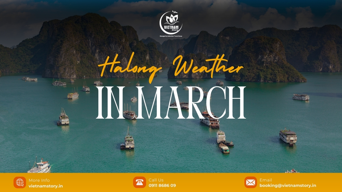 For a perfect trip to Ha Long Bay, it is essential to have a clear understanding of the Ha Long Bay weather in March.
