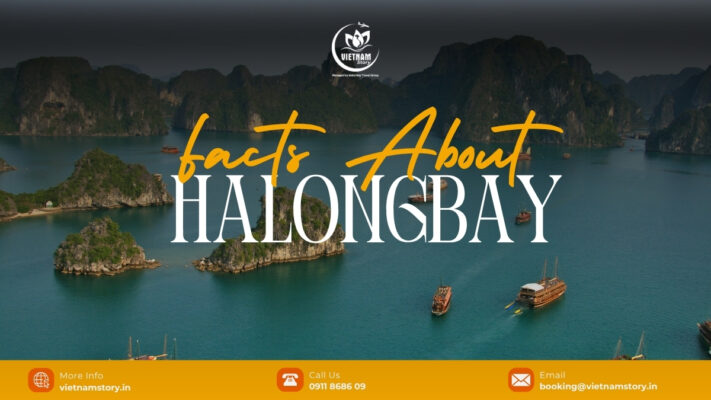 Essential Facts About Halong Bay For The Modern Indian Traveler