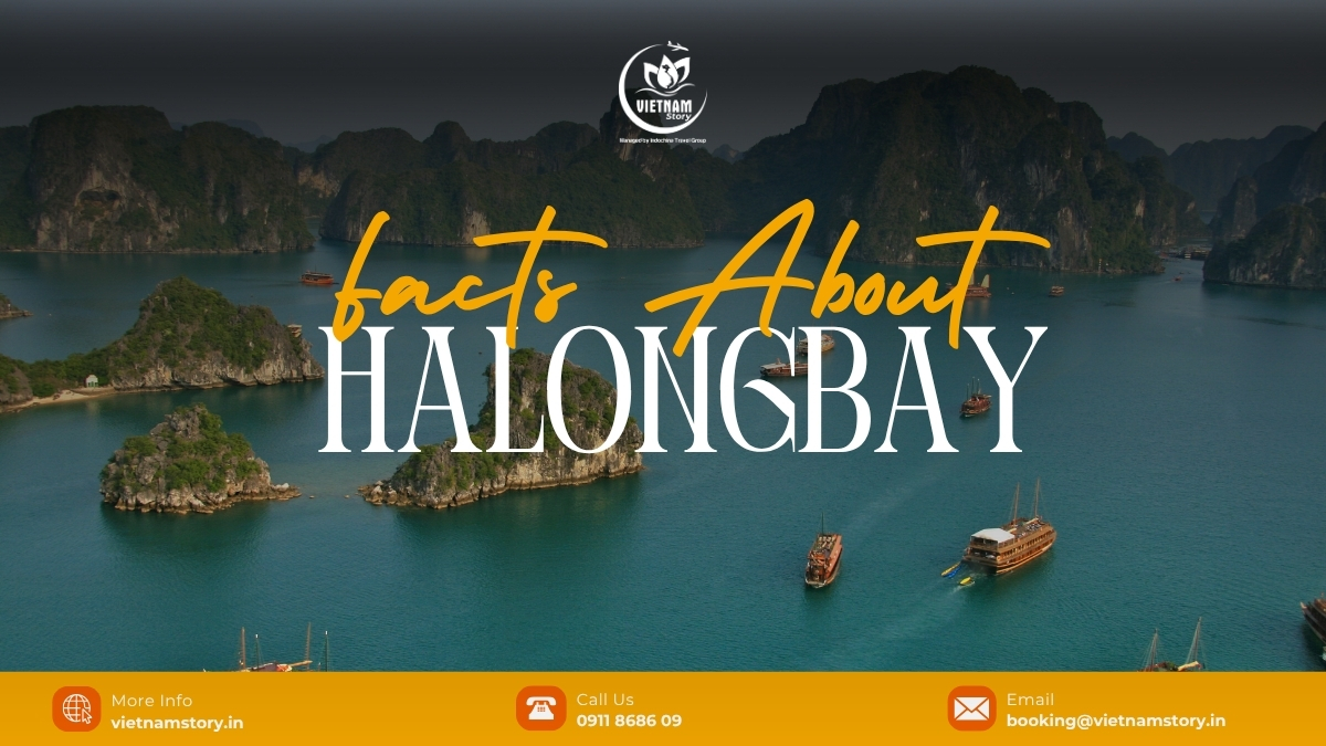 Ha Long Bay is one of the world's most famous natural wonders, notable for its thousands of limestone islands rising from emerald green waters.