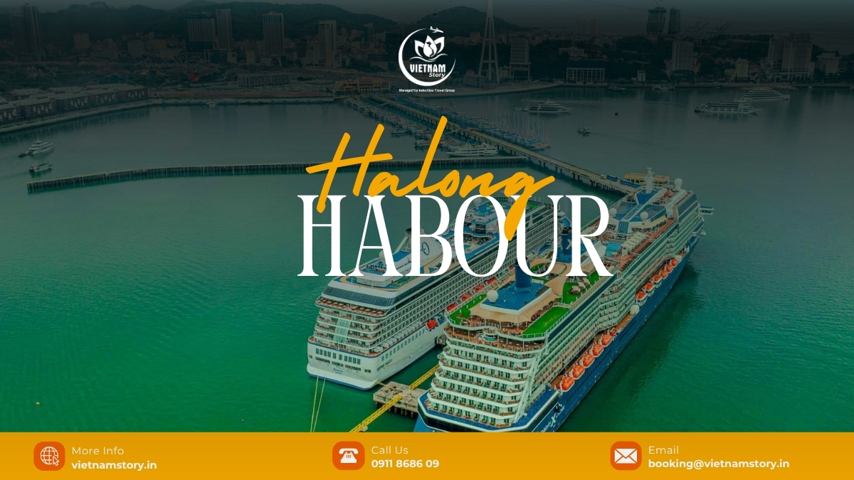 In Ha Long City, there isn't a single harbor called "Halong Harbour"