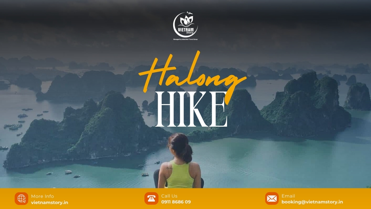 Exploring The Verticals: A Complete Guide To Your Next Halong Hike 2 Although Ha Long Bay is famous for its water activities, its hiking trails offer incredibly impressive views from above.