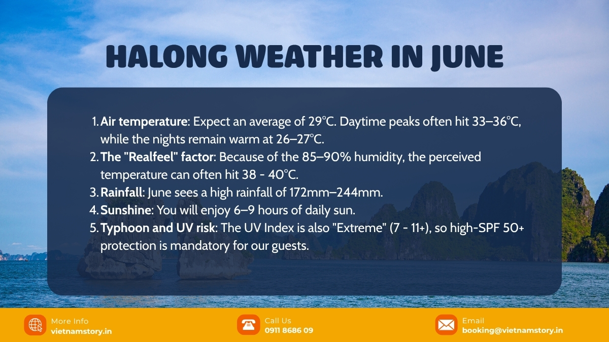 The Vibrant Pulse Of The North: A Comprehensive Guide To Halong Weather June For Indian Travelers 3 While this might sound intense, June is also the month when the bay is at its most "vibrant."