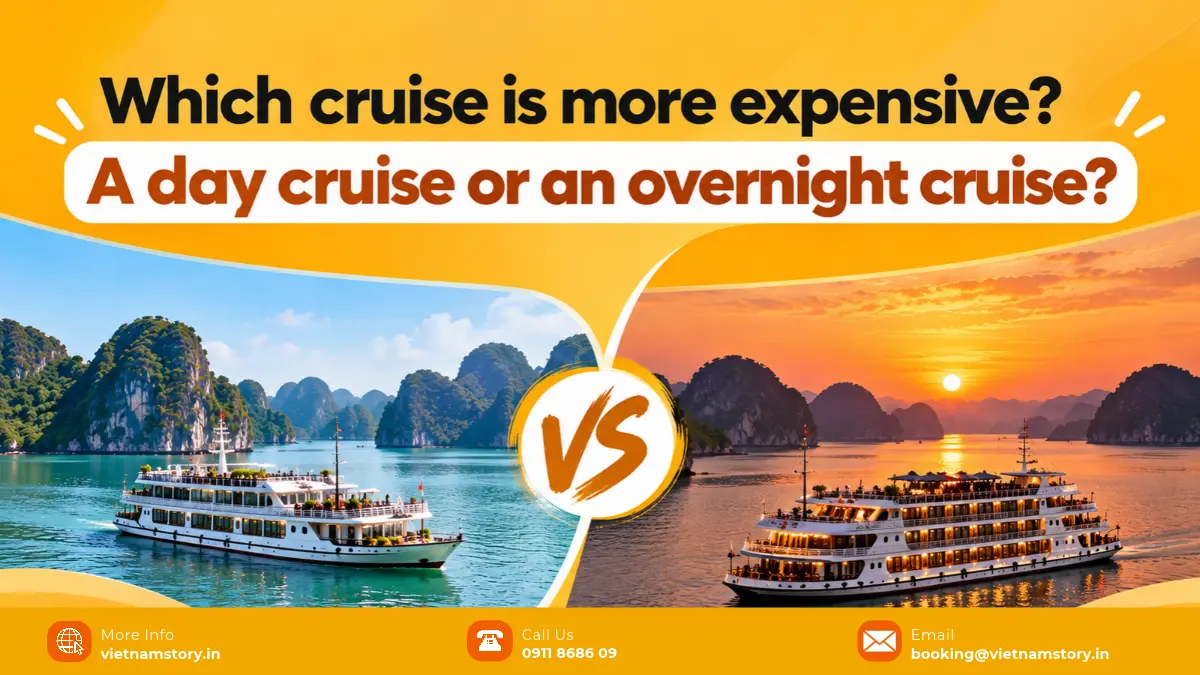which cruise is more